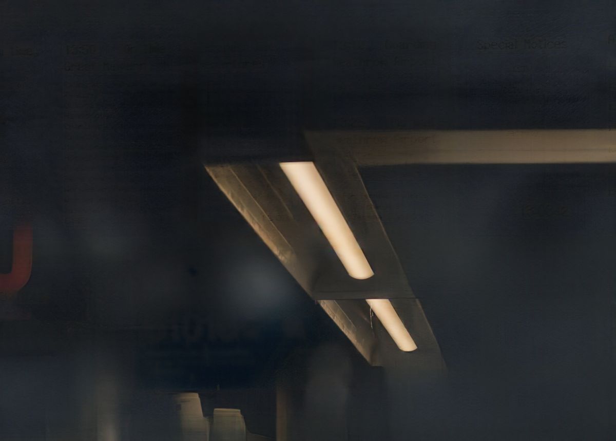 Adobe Project Indigo 'negative' for removing reflections from an image