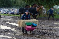 Anna's groom Nadine in the mud