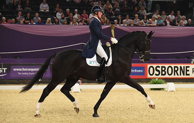 How to improve downward transitions AMD DON ROSSO II ridden by Matt Frost for Dedi Leech &amp;amp; Matt Frost during the Mount St John Dressage Future Elite Championship, during Horse Of The Year Show at the NEC Birmingham, West Midlands, UK between 07-11th October 2015