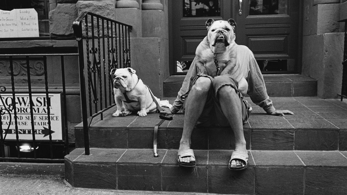 Elliott Erwitt exhibition 