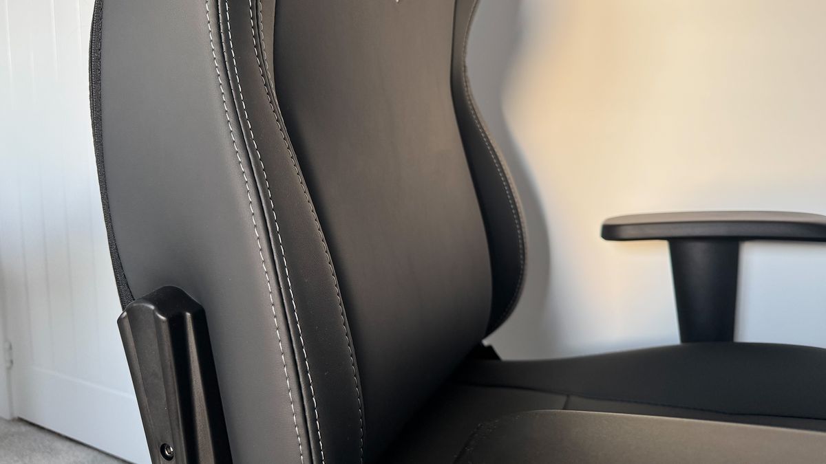 The lumbar support on the AndaSeat Novis