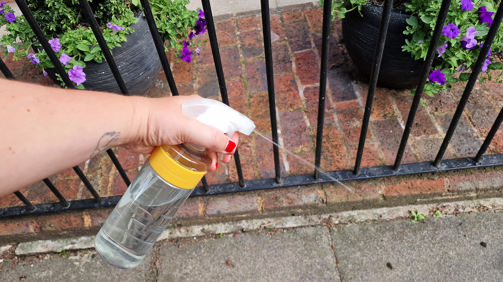 Spraying vinegar outside a front door