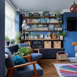 blue living room with shelving