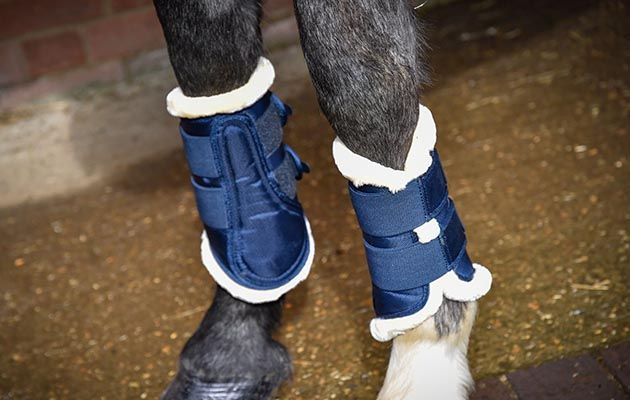 Eskadron brushing boots with faux fur review