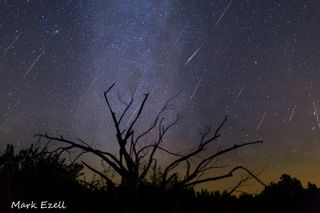 Composite Image of Gemind Meteors Over Lometa, TX #2