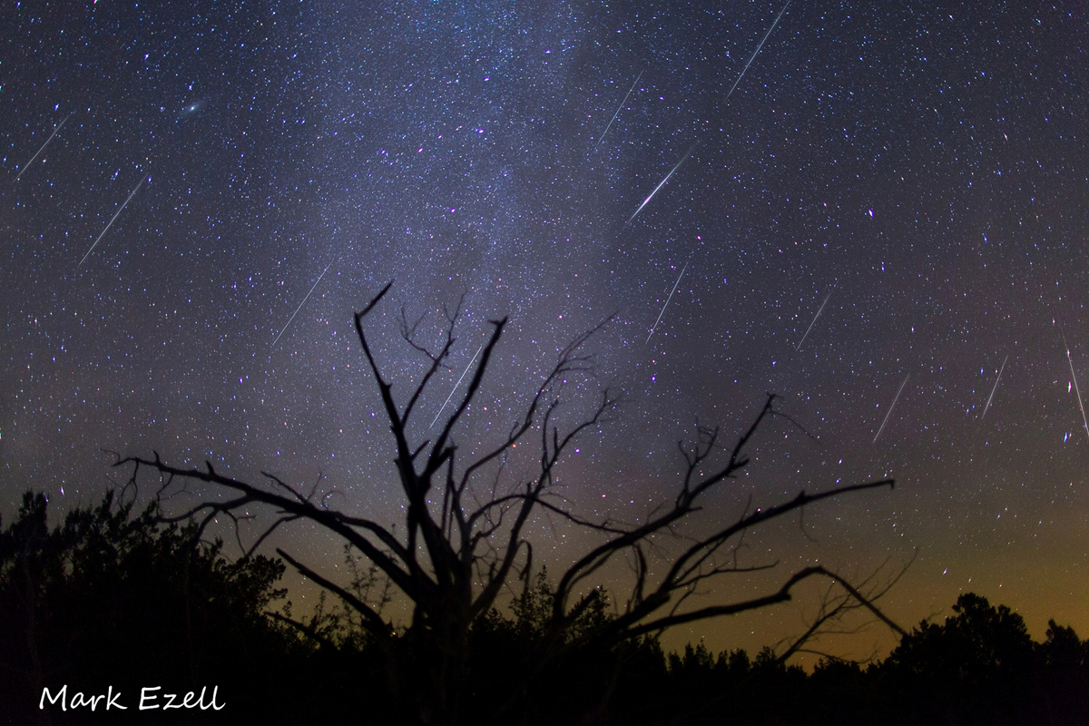 Composite Image of Gemind Meteors Over Lometa, TX #2