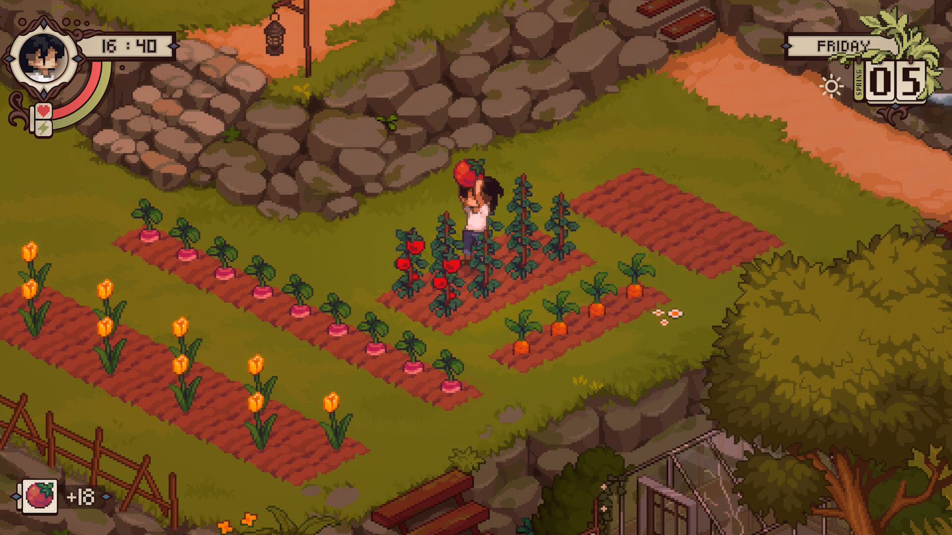 Grave Seasons screenshot showing the protagonist harvest tomatoes from a patch of land full of radishes, carrots, and flowers.