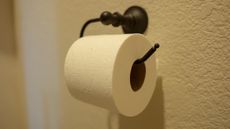 A toilet roll