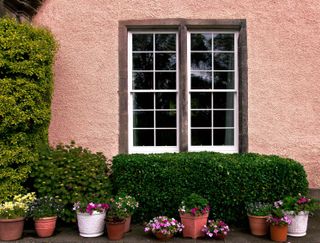 timber windows in a period property