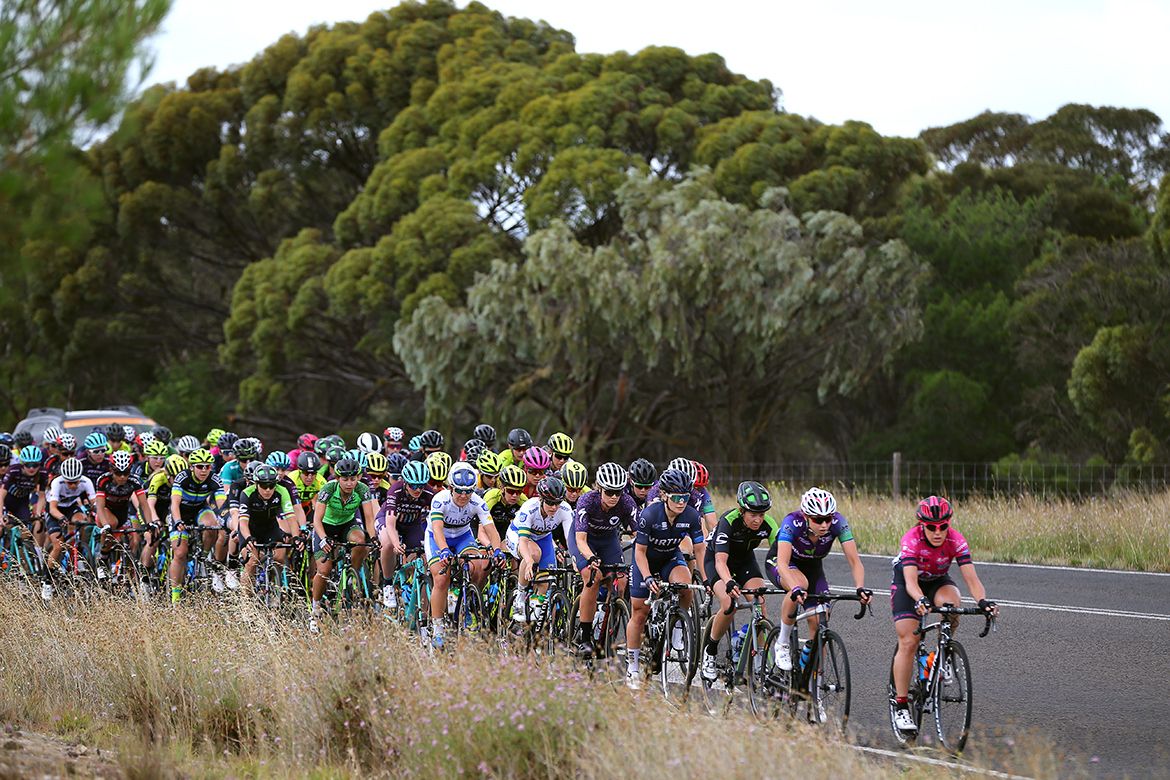 The bunch before the storm