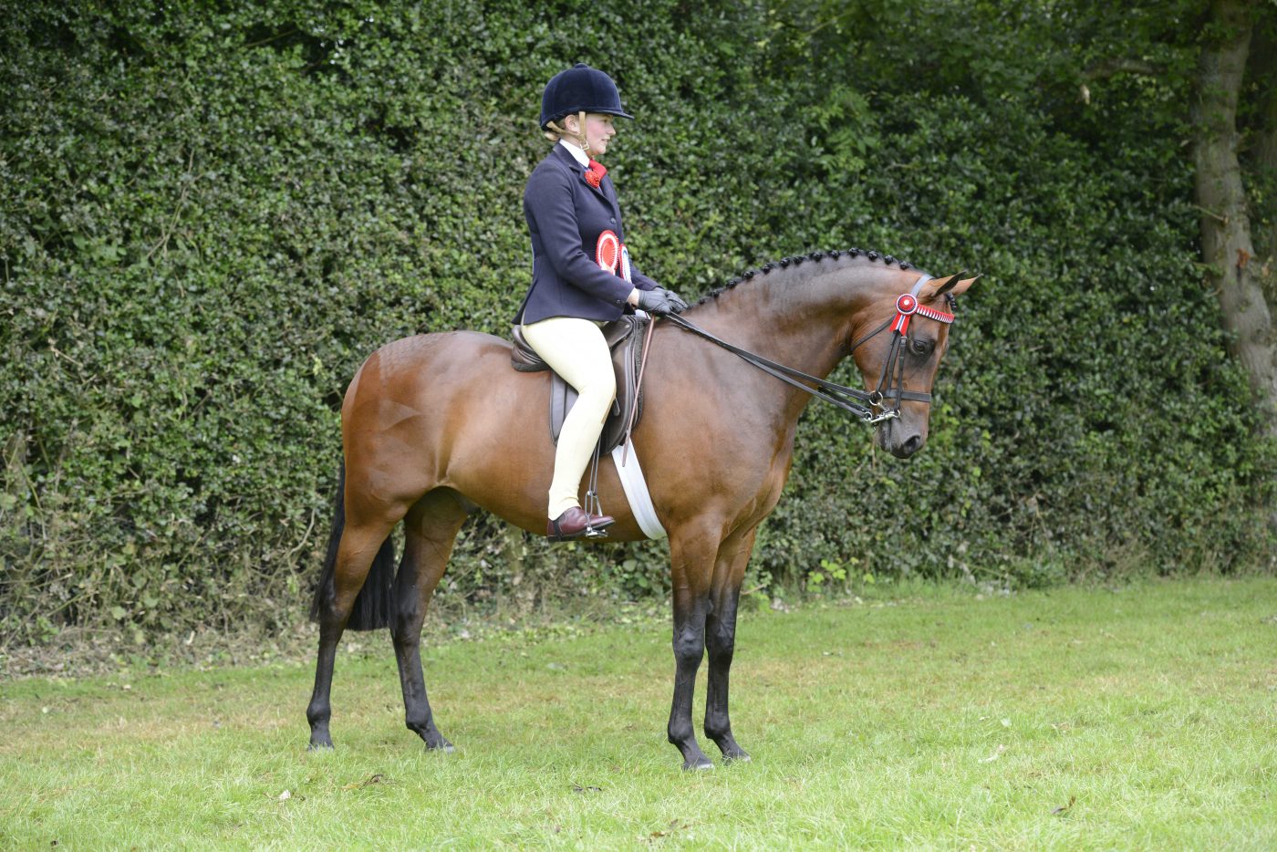 DSC5116_322944121_515488472-e1572873920934.jpg