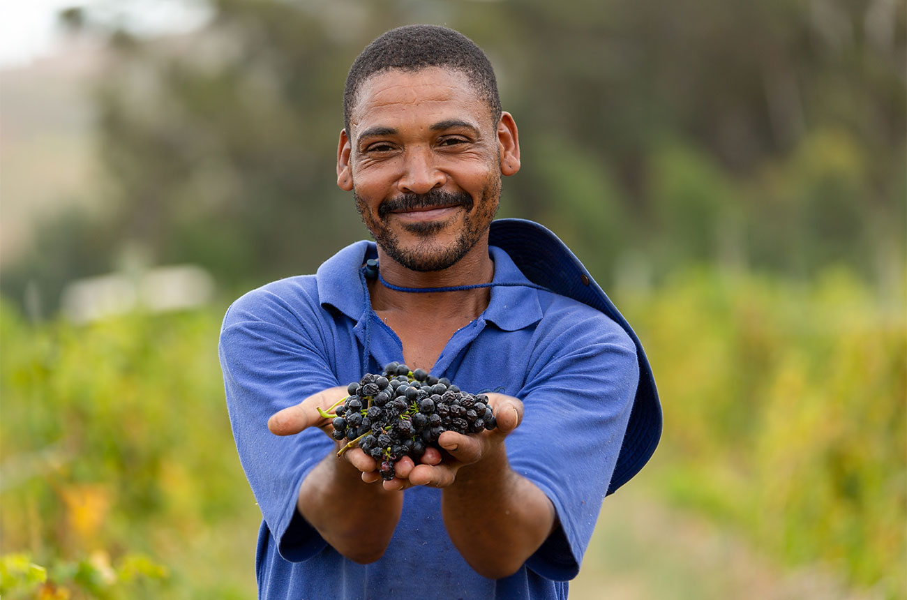 Journeys End harvesting