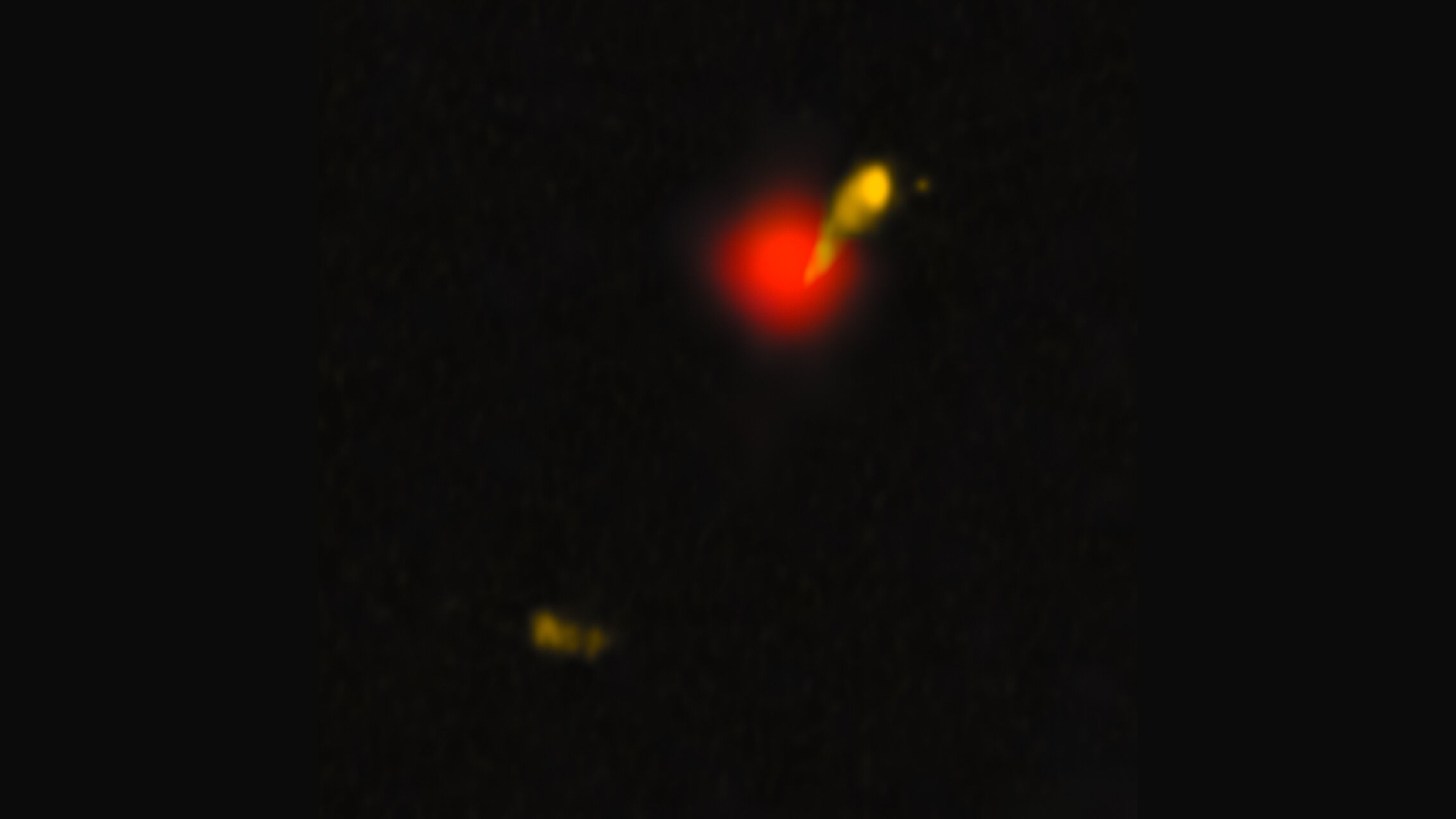 An image of red and yellow blobs against a black background