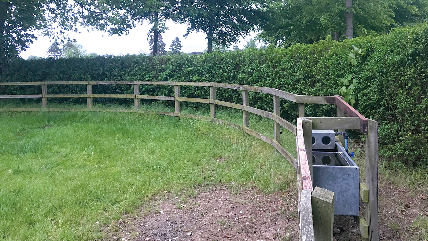 Rounded-fencing-KOB-RM.jpeg