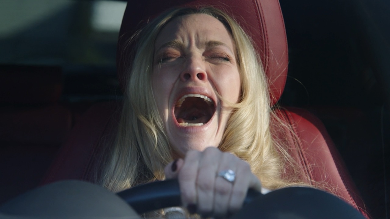Amanda Seyfried screaming in a car in The Housemaid