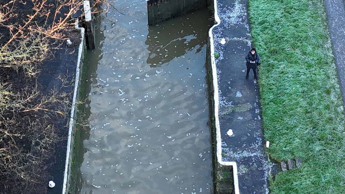 A photo of a person standing by a river taken on a DJI Flip drone