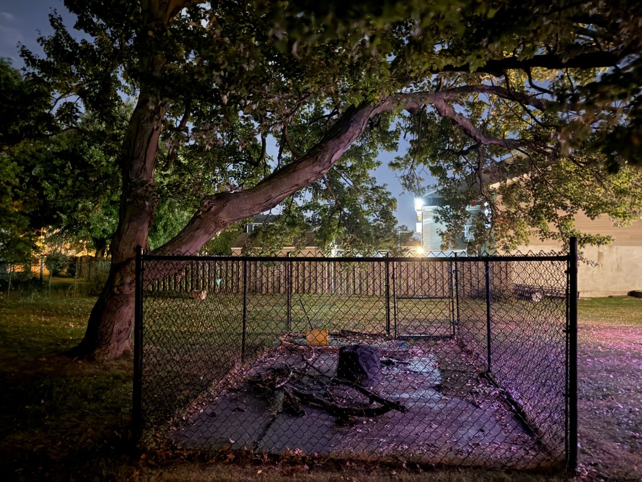 Apple iPhone 16 Pro Max low light sample.