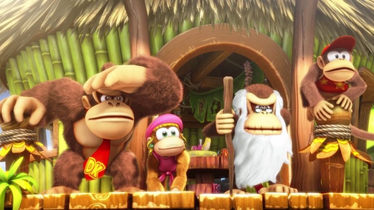 Donkey Kong Country Tropic Freeze Hero