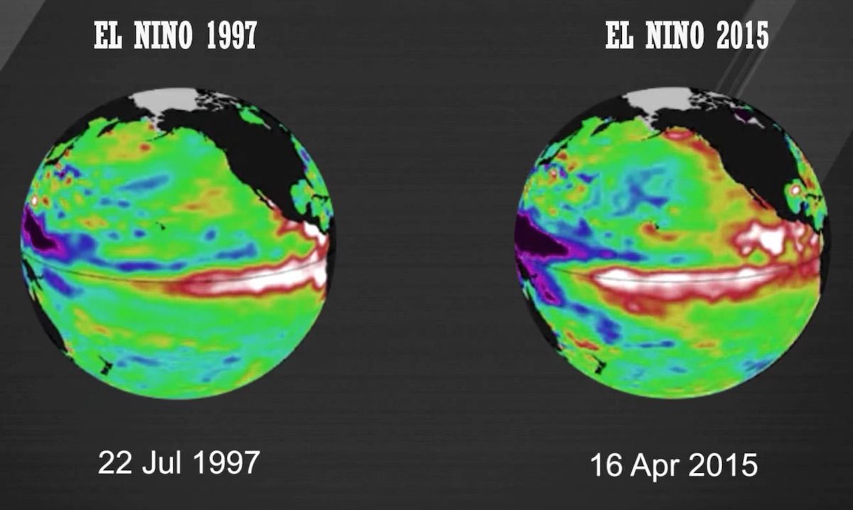 A comparison of sea surface temperatures in the equatorial Pacific in 1997 (a strong El Nino year) and 2015. 