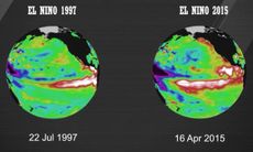 A comparison of sea surface temperatures in the equatorial Pacific in 1997 (a strong El Nino year) and 2015. 