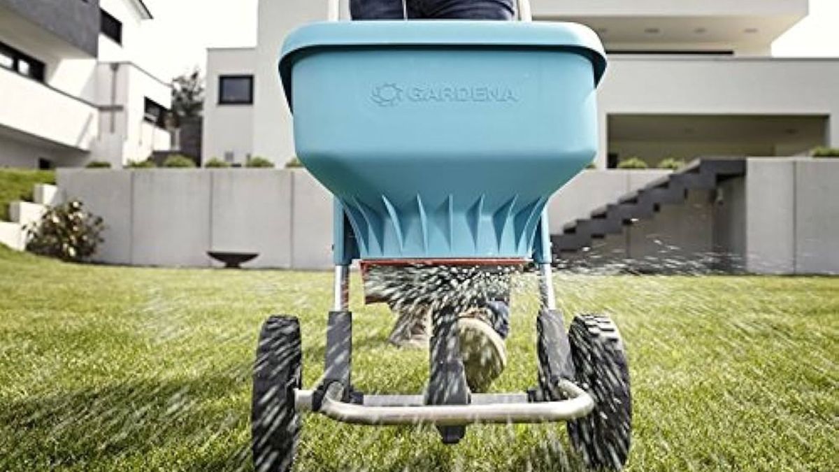 Image of Gardenia seed spreader