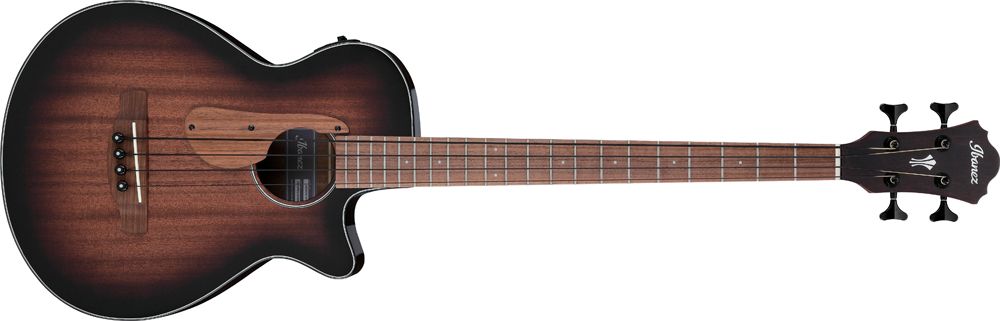 Ibanez acoustic bass