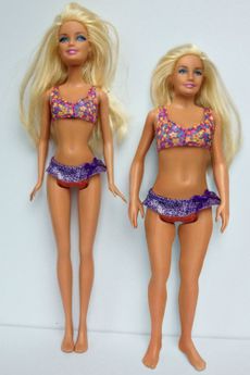 Normal Barbie doll