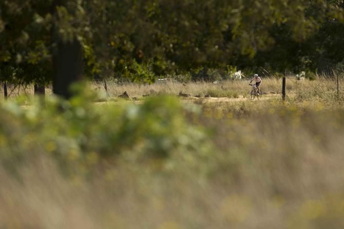 Max Knox of Burry Stander - Songo 2 rides alone after partner Kohei Yamamoto had to withdraw