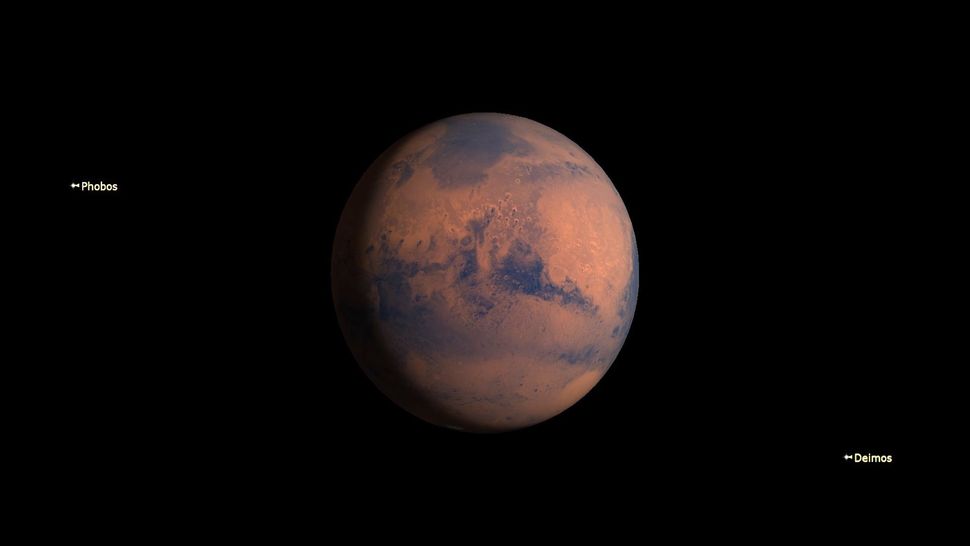 See the half moon pass by Mars in the sky tonight | Space