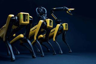 Spot, in all its forms, from Boston Dynamics