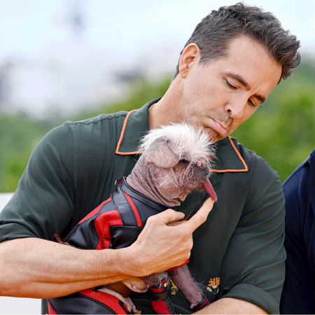 Ryan Reynolds, Peggy aka Dogpool the &ldquo;UK&rsquo;s Ugliest Dog Winner&rdquo; and Hugh Jackman attend the photocall for "Deadpool & Wolverine" at the IET Building, Savoy Place on July 12, 2024 in London, England