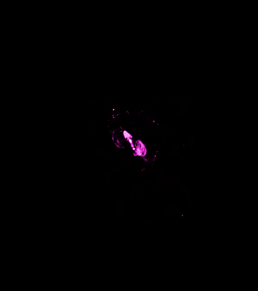 Radio data shows pink in the middle of NCG 1068