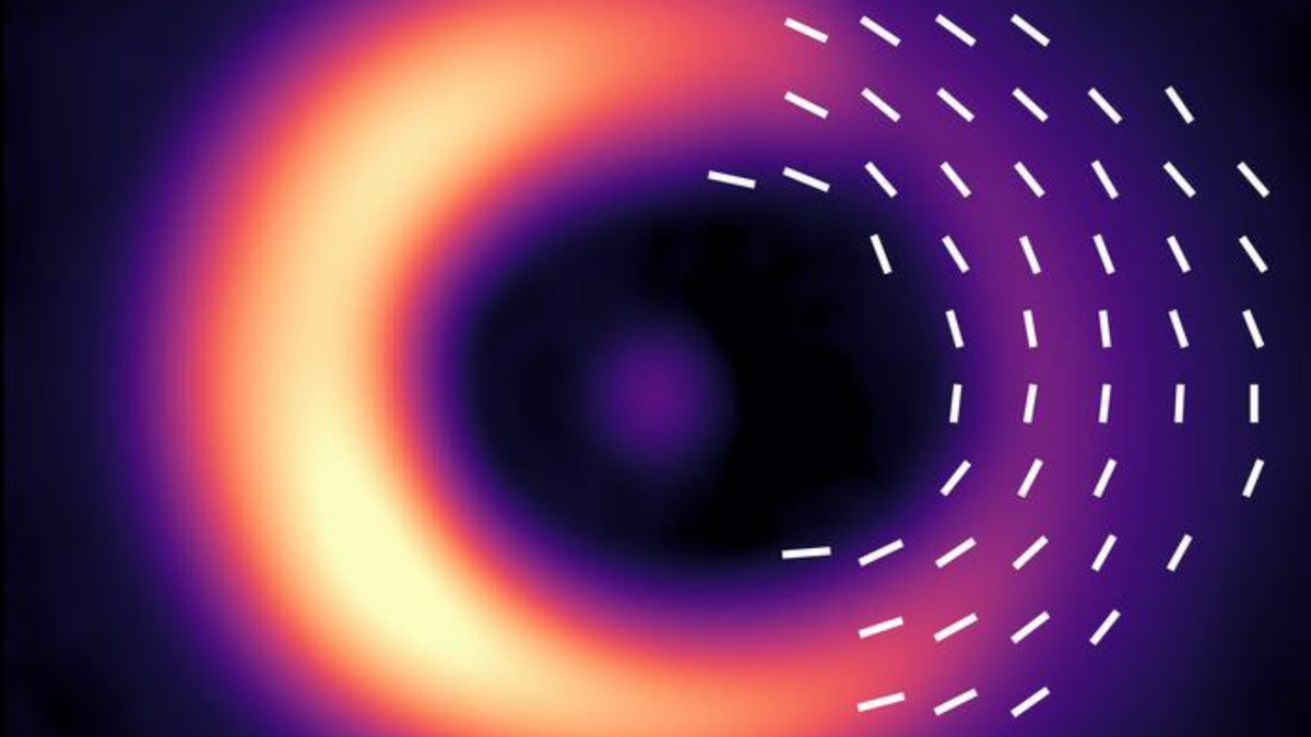 ALMA observations of the protoplanetary disk around HD 142527. The white bars show the directions of the magnetic field revealed by the orientation of the dust grains. 