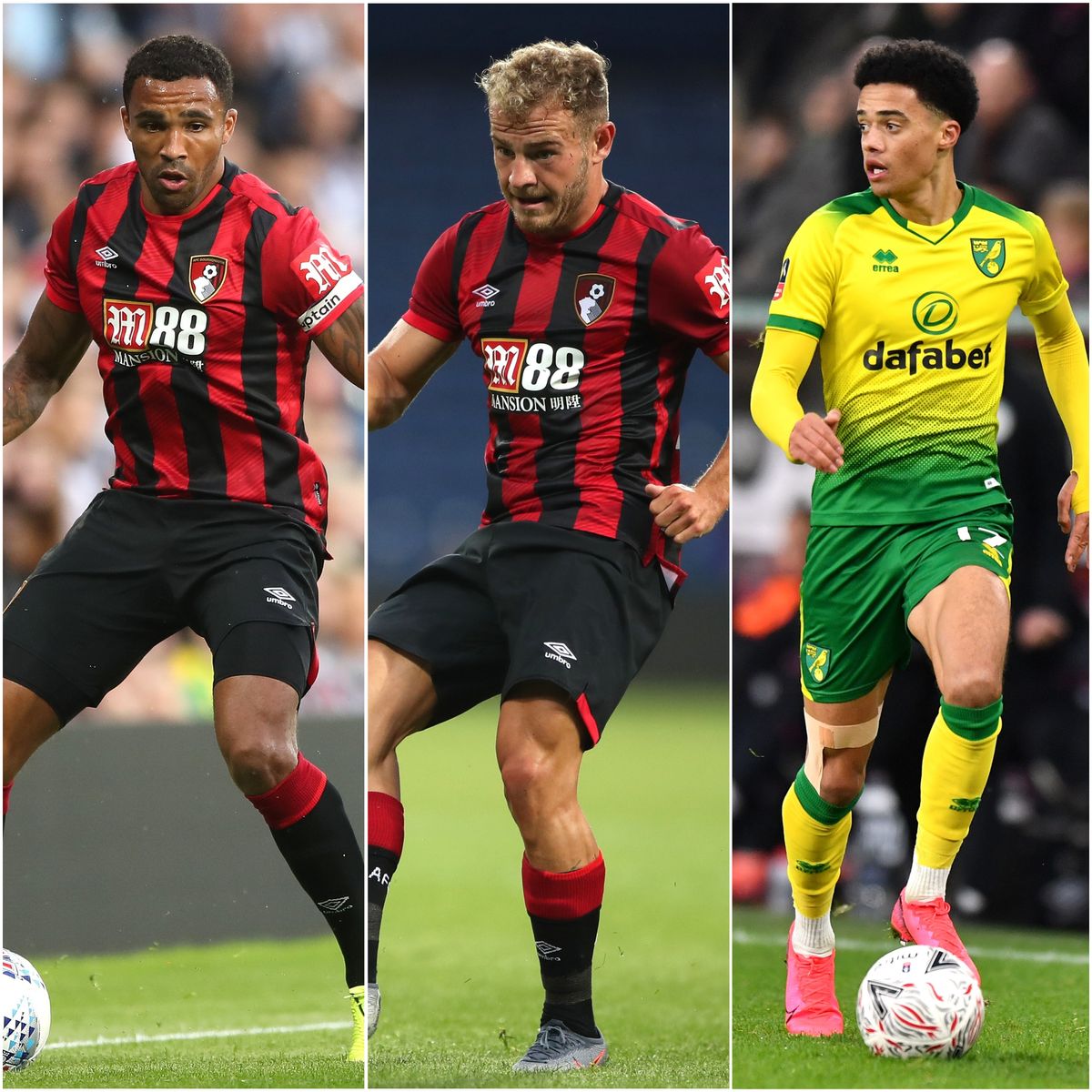 Callum Wilson, Ryan Fraser and Jamal Lewis