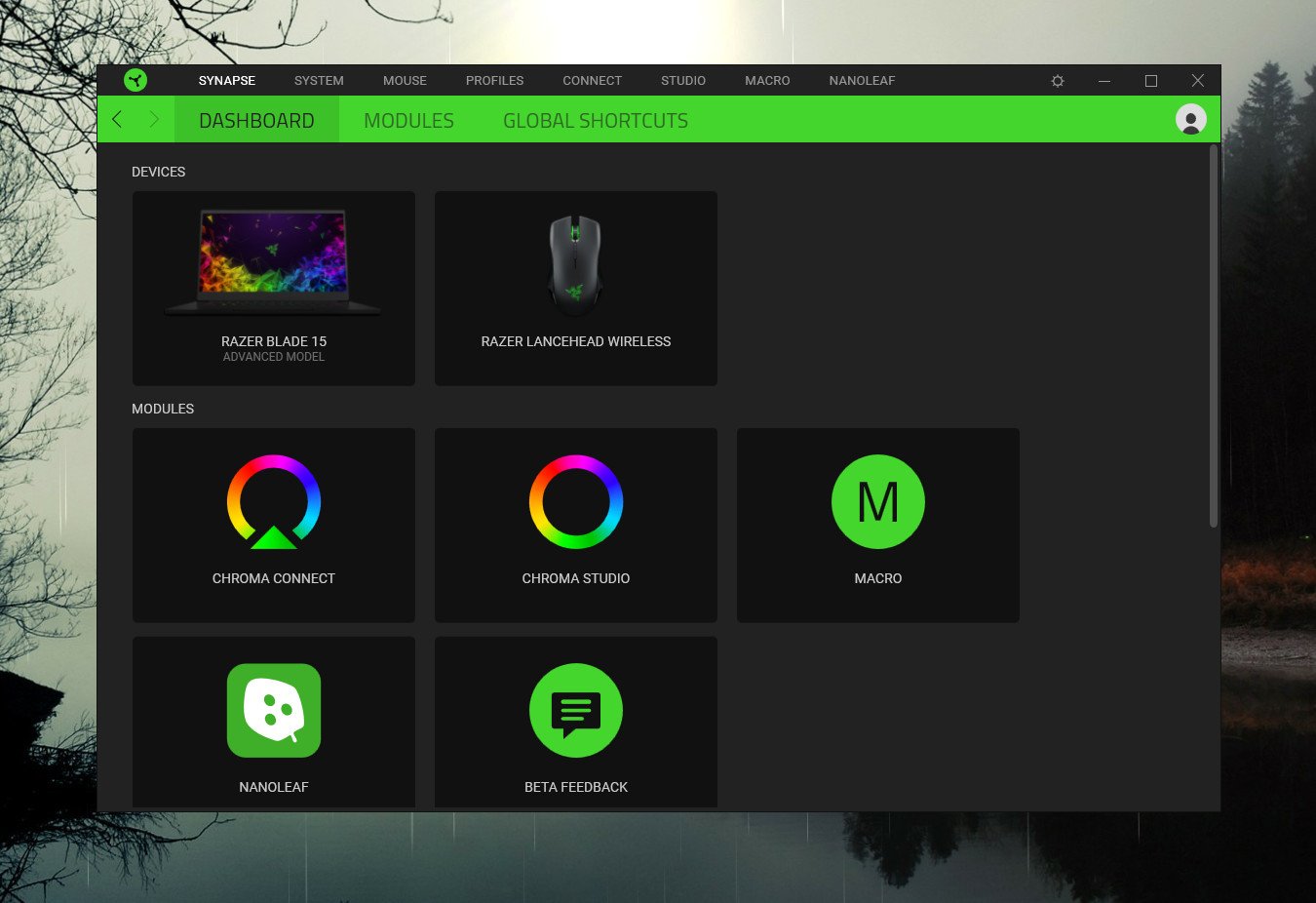 Cloud-Based Driver Software, Razer Synapse