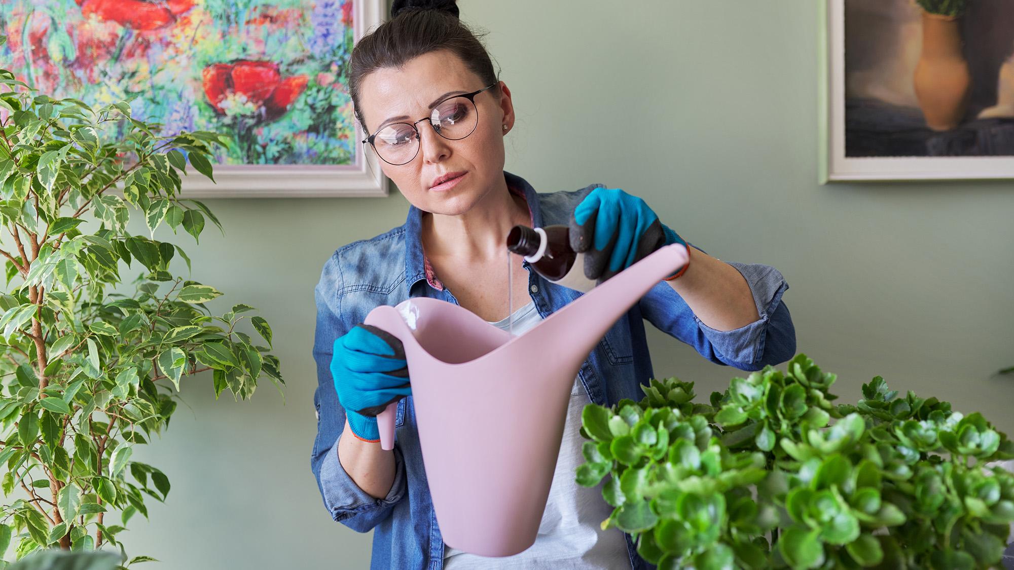Woman fertilizing houseplant