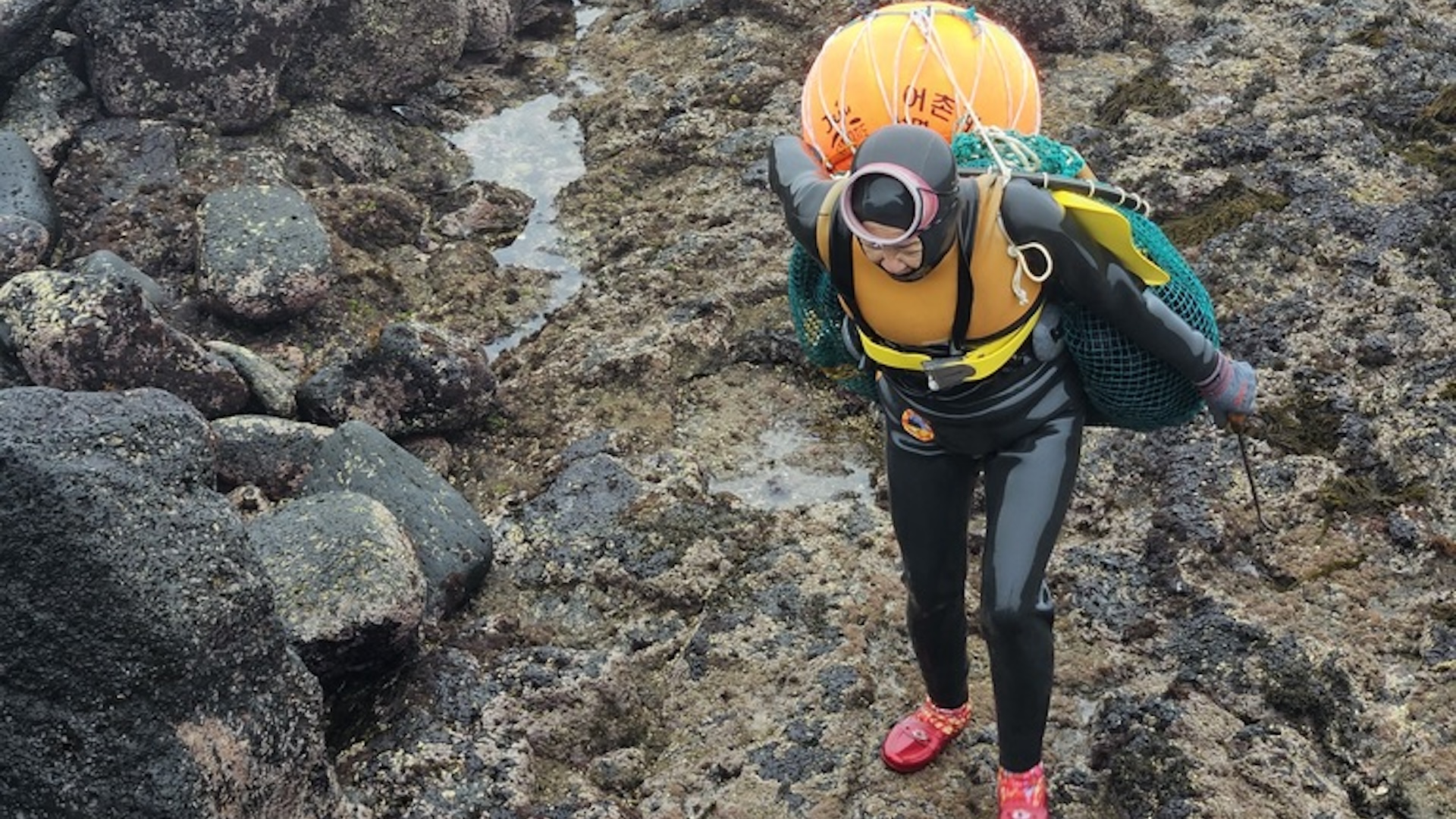 A woman in diving gear hauls her gear