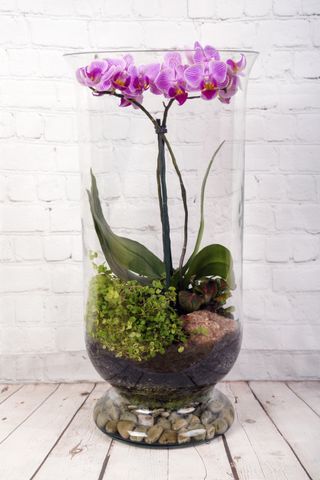 A close up of a terrarium with an orchid