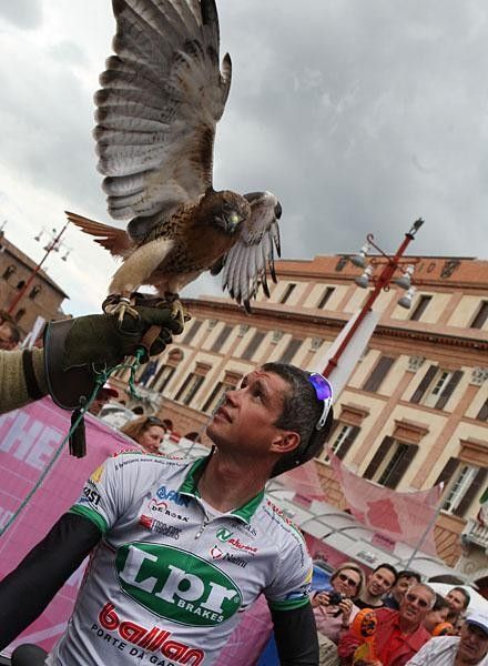 Yes, yes, I get it. Falco, falcon. Haha. Just keep those talons away from my eyes.