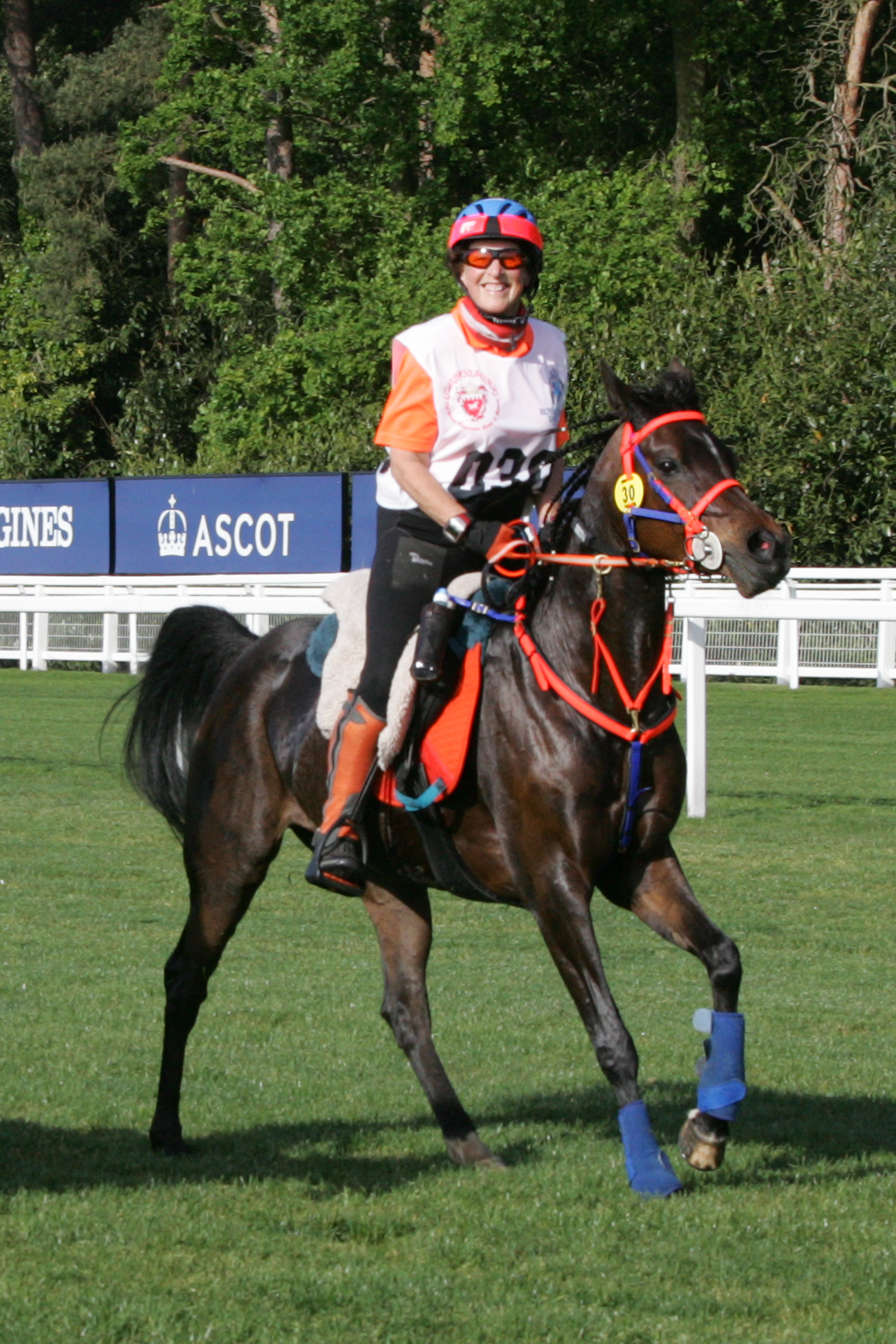 Chiara-around-Ascot.jpg