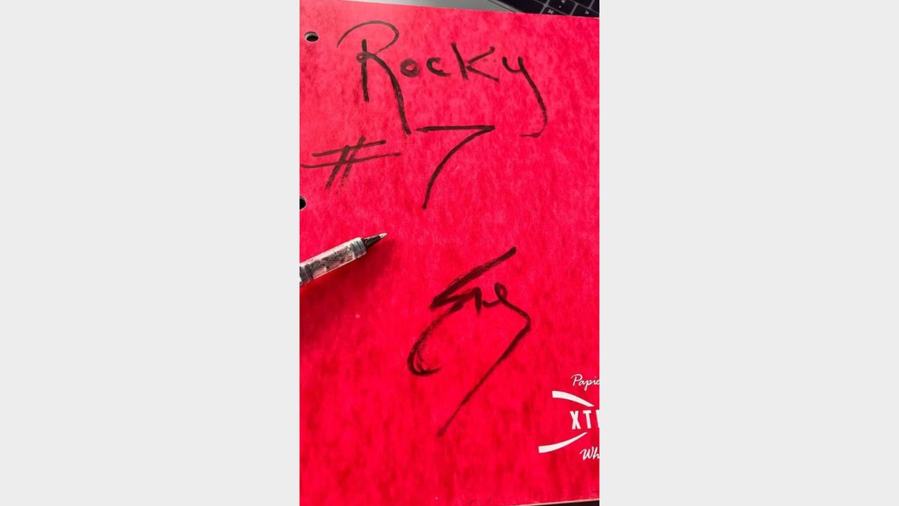 Sylvester Stallone's Rocky 7 plans