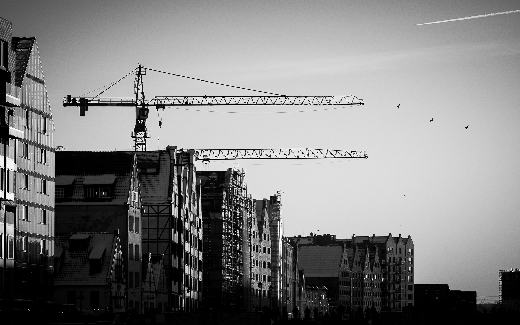 Black and white photo of an urban skyline with construction cranes towering above old buildings. Birds fly across a clear sky