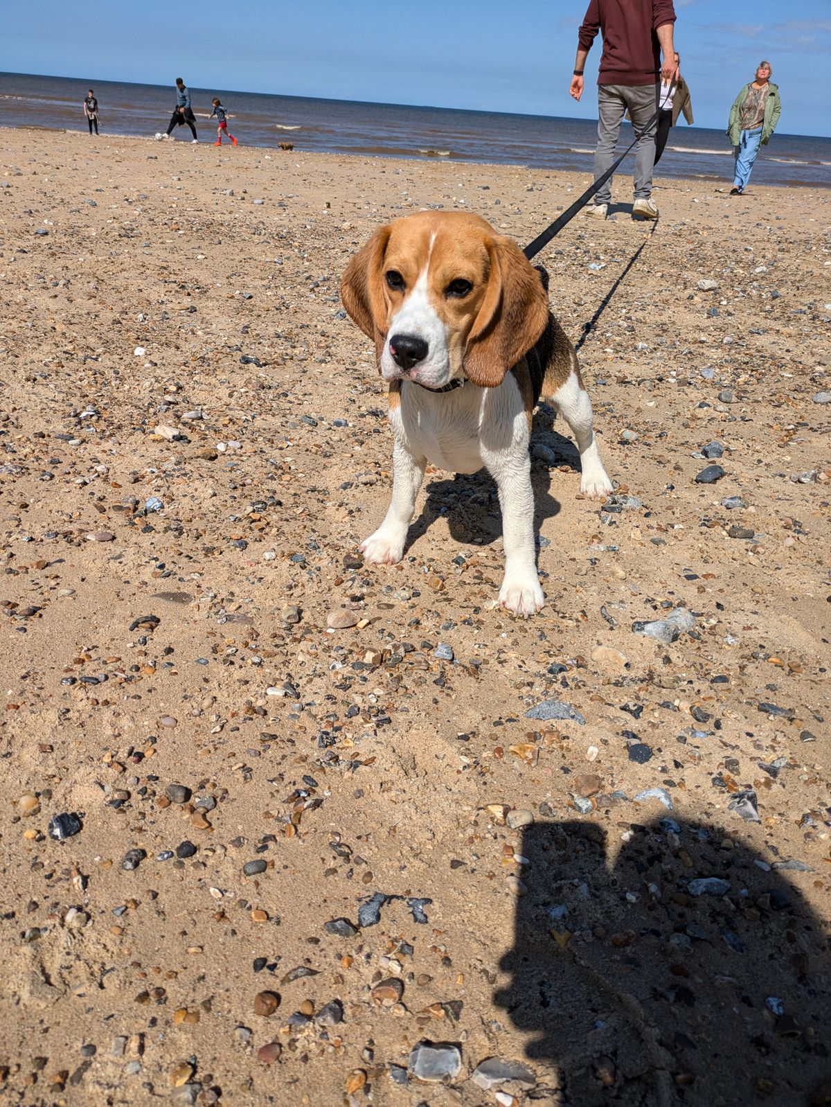 A photo taken on the Google Pixel 8a