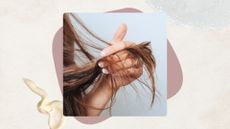 A picture of someone's hand seen holding up and inspecting the ends of their hair/ in a beige and mauve template with two shampoo and conditioner product swatches.