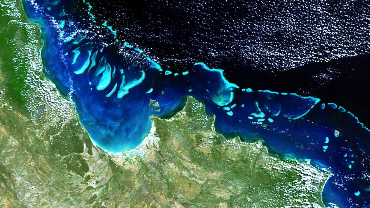 Studying coral reefs from space can help researchers understand how these precious ecosystems respond to climate change.