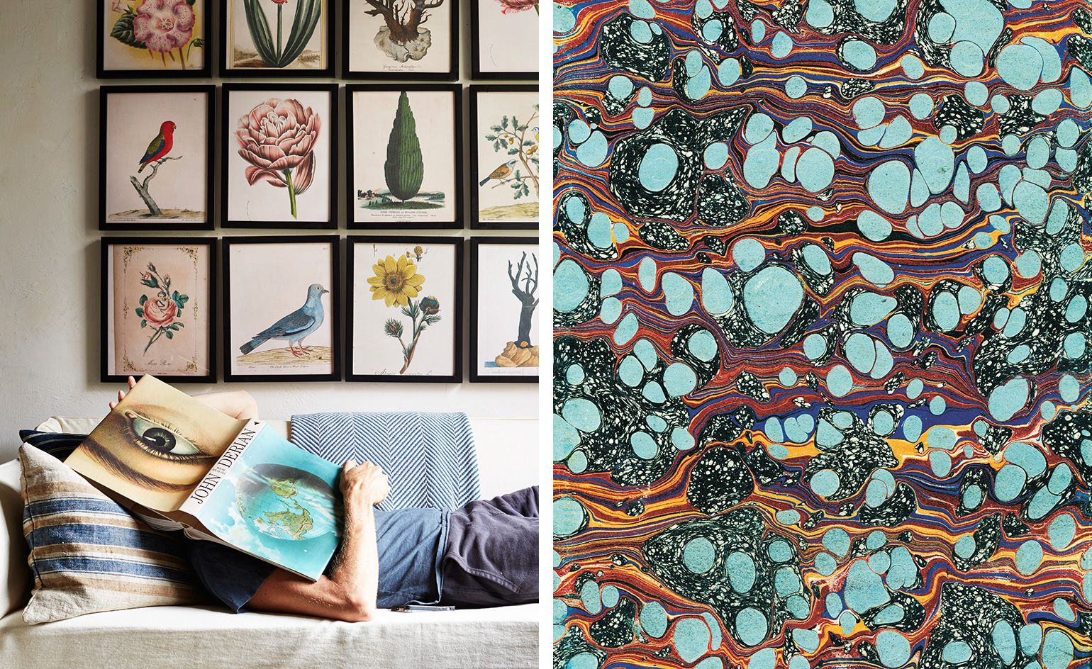 John Derian Picture book is an illustrative feast | Wallpaper*