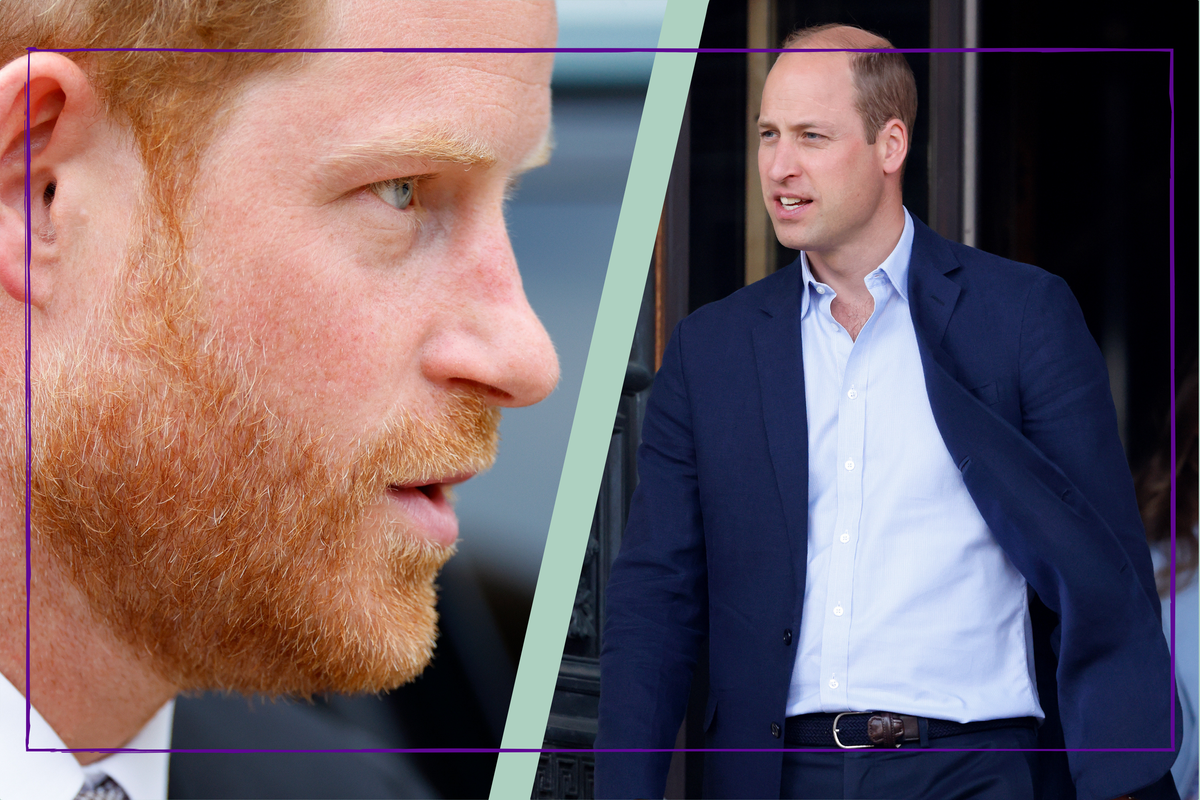 Royal author and historian believes Prince William and Harry 'will go separate ways' instead of resolving feud