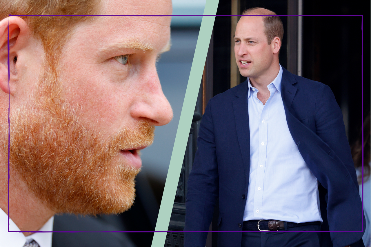 Royal Expert believes Prince William and Harry &#039;will go separate ways&#039; instead of resolving feud