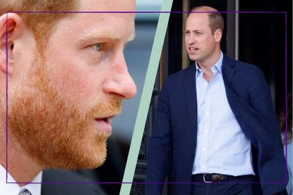 Royal Expert believes Prince William and Harry 'will go separate ways' instead of resolving feud