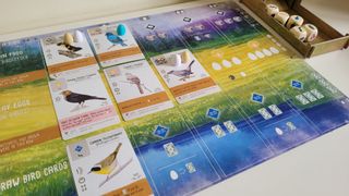 Close up of cards from the Wingspan board game